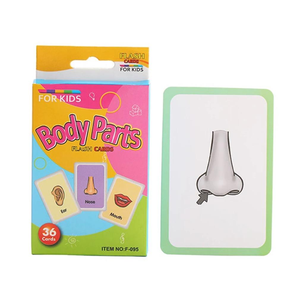 36 Cards/Box English Cognitive Card Animal Shape Fruit Color English Words for Baby Early Learning Educational Toy