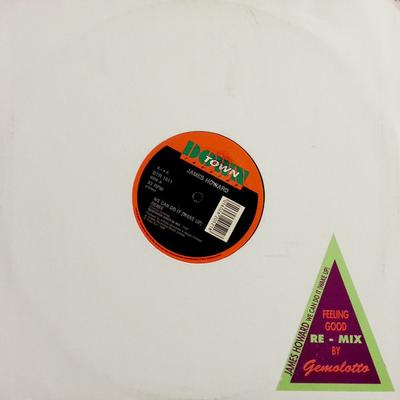 12inch Record JAMES HOWARD - We Can Do It (Wake Up) (Remix) DTR1011 Downtown 1992 Italy Dance & Electronica Used