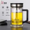 Zhishi 420ml Double-Layer Glass Water Bottle with Handle & Tea Infuser