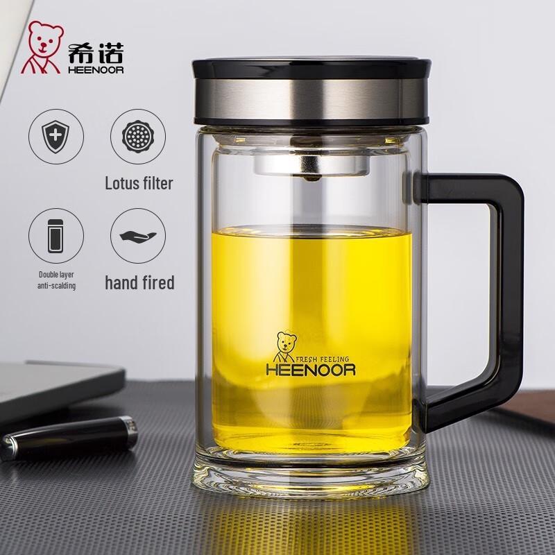 Zhishi Double-Layer Glass Water Bottle with Handle & Tea Infuser, 420ML