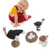Ostrich Life Cycle Figure PVC Realistic Ostrich Figure Toy Animal Growth Cycle for Children