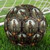 Prehistoric Jungle Adventure Round Football Size 5 Adult Ball Suitable for Training Matches and Outdoor Team.