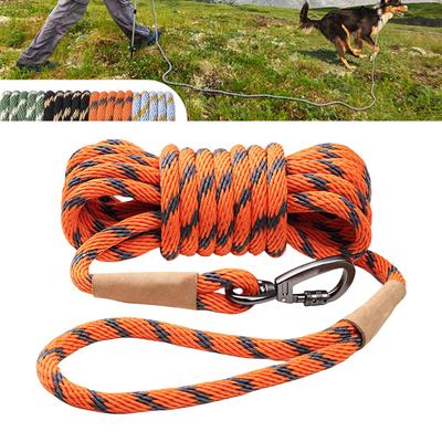 Köpek – Köpek Tasmaları ve Tasma Kayışları