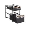 Kitchen Countertop Double Layer Pull-out Storage Basket