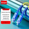 Shengwei SC-SC Single-Mode Glasfaser-Patchkabel