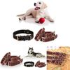 Classic Leather Dog Collar With Vintage Brass Buckle For Medium To Large Dogs