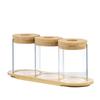Mini Glass Flower Pot for Indoor Plants - Hydroponic Ornament with Moss Landscape