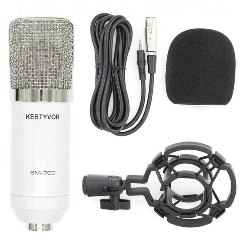 BM700 Large Diaphragm Condenser Microphone with External Sound Card for Computer Recording and MC Hosting