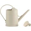 2 L Watering Can for Indoor Plants - Beige Plastic with Removable Rose, Ergonomic