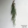 Artificial Spider Plant & Fern Hanging Decor - Trailing Green Vines for Wall & Ceiling