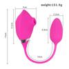 Powerful Clitoris Sucking Vibrator for Women Nipple Clitoral Stimulator Female Masturbation Sex Toys for Women Adult 18