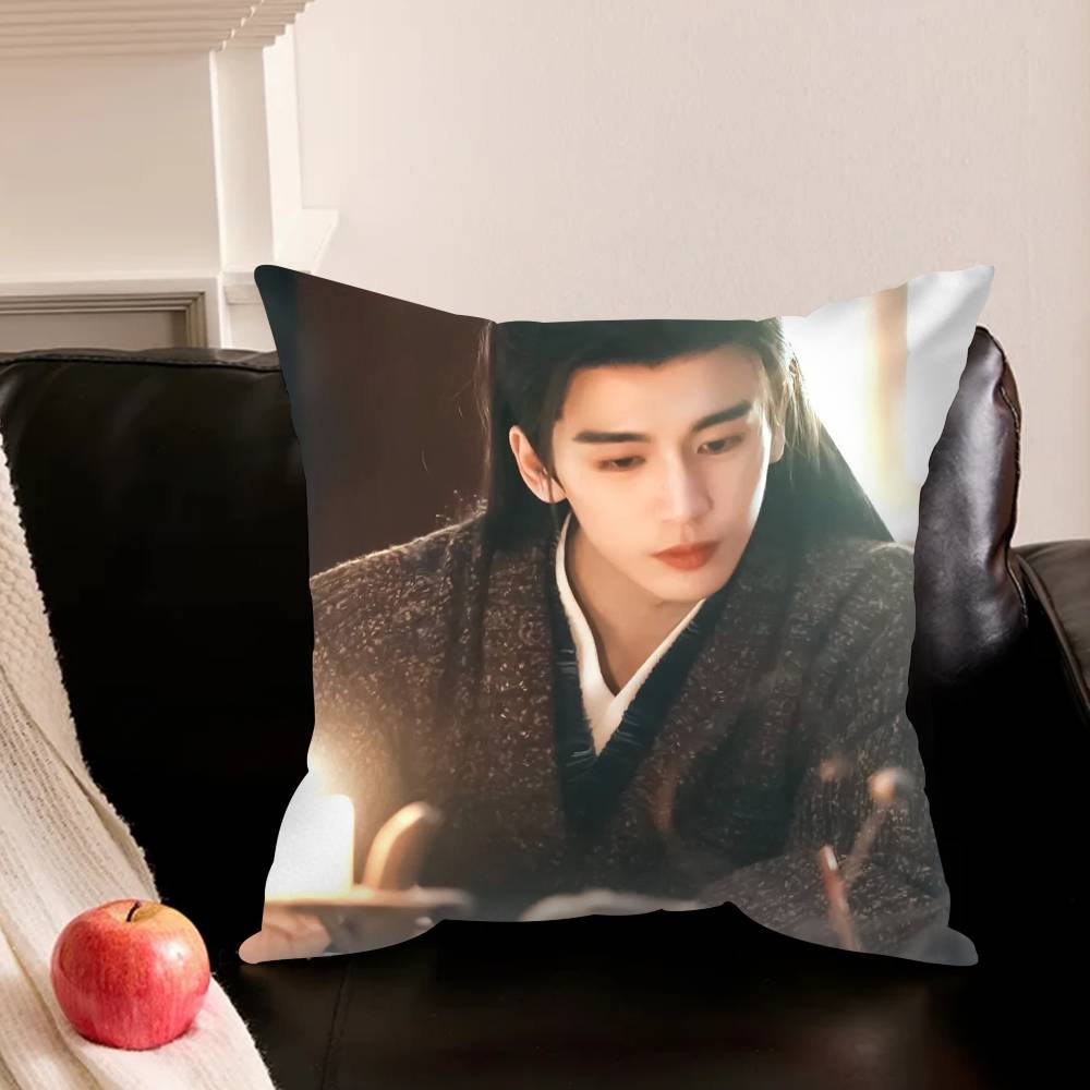 Pursuit Of Jade Zhang Linghe Pillowcase Living Room Sofa Cushion Cover Bedroom Room Bed Pillow Cover Home Decoration
