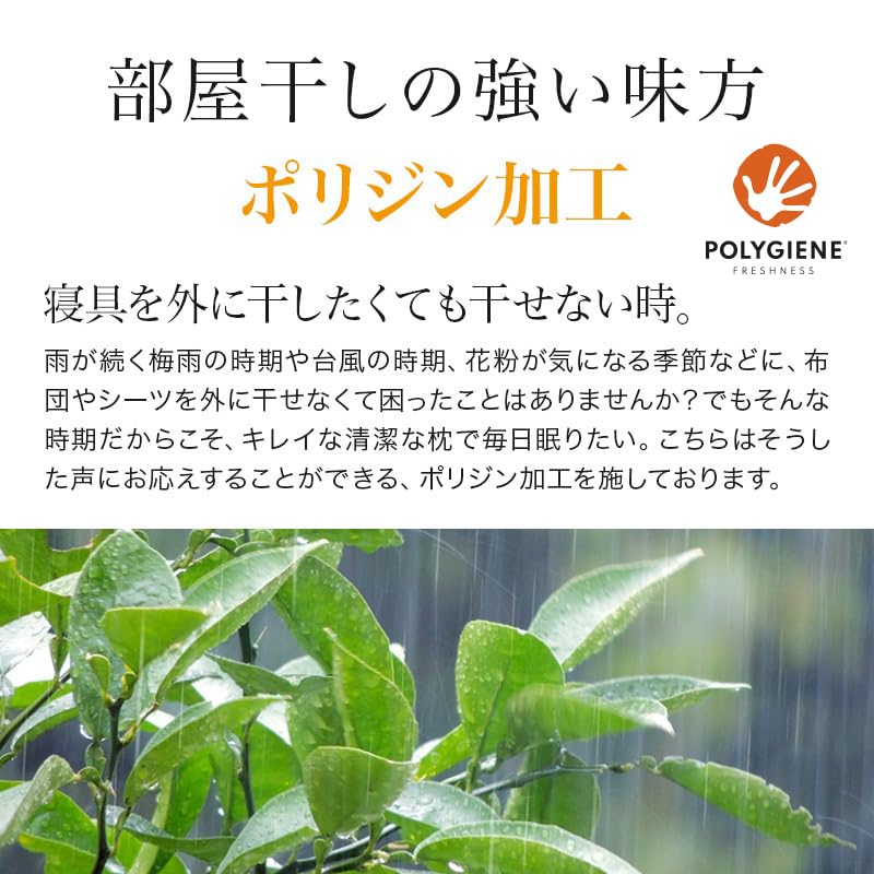 Polštář Showa Nishikawa Hotel, Paměťová pěna Urethan, Odolný proti zápachu, Výškově nastavitelný, Polštář v hotelovém režimu, Cca. 60 x 40 cm, 2211004564902 (Hotel