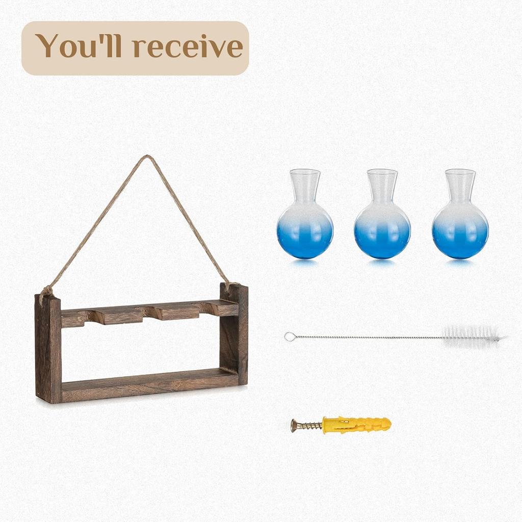 Plant Propagation Station with Wood Stand - Wall Glass Terrarium for Cuttings Air Plants Small Flower Pothos - Gift for Women Plant Lovers (Gradient