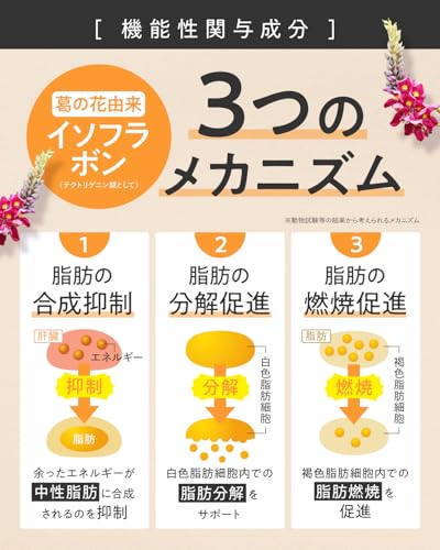 Fat Down Support Smoothie: Reduces weight and belly fat. Diet meal replacement. Shin Nippon Health. 1 meal replacement (120g, mixed berry).