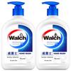 Walch Healthy Antibacterial Hand Soap with Natural Silk Protein