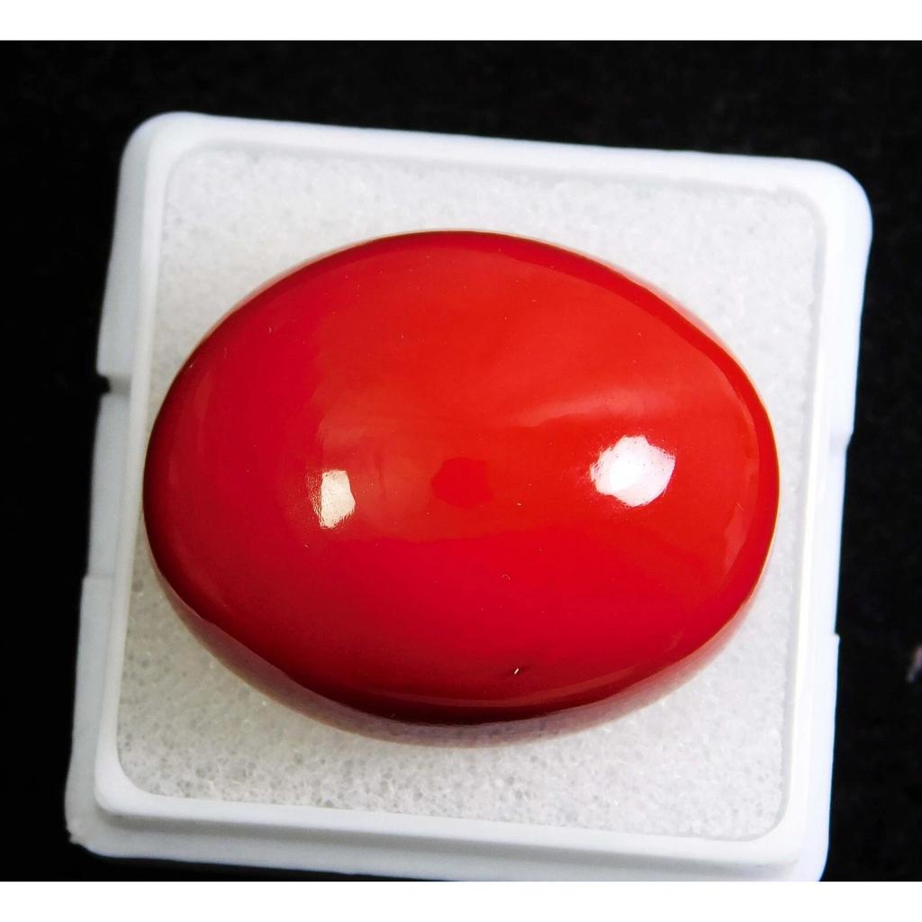 AAA+ Natural Red Coral 42.45 CT Oval Cabochon Cut Italian Loose Gemstone