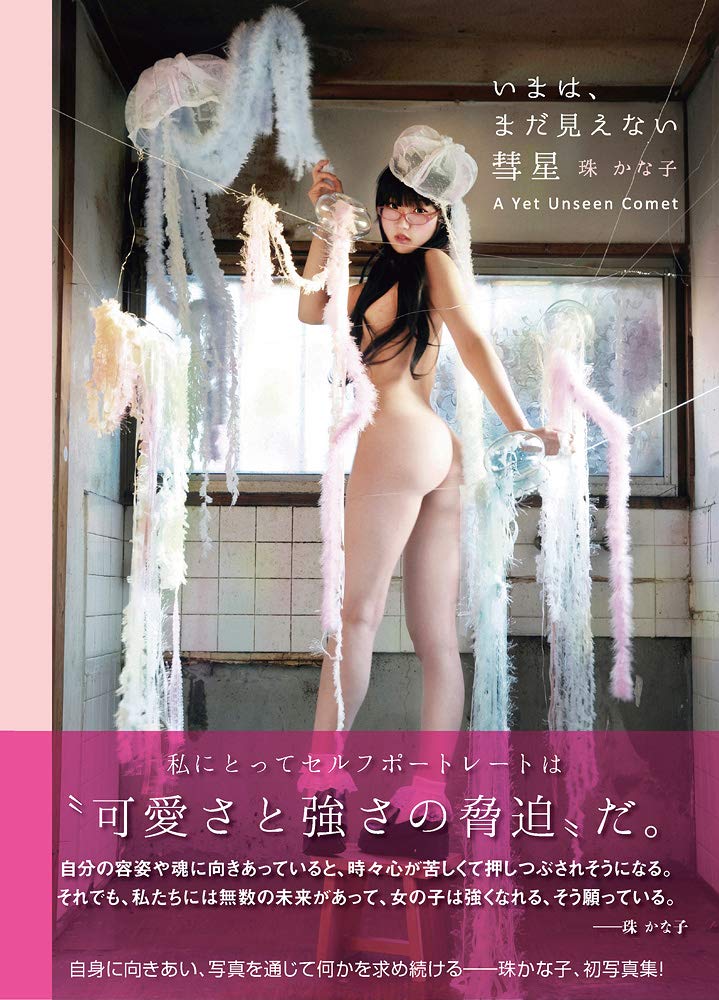 The Comet That Isn't Yet Visible (TH ART SERIES)