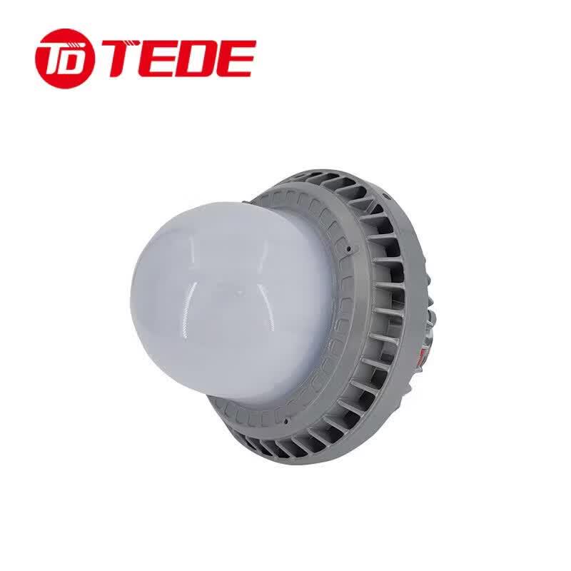 TEDE 50W Outdoor LED Platform Light