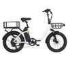 DYU C9 All-Terrain Faltbares E-Bike Für Erwachsene 250W Motor 48V15.6AH Batterie 20 Zoll Offroad-Reifen Mountain Elektrofahrrad City Elektrofahrrad