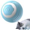 Interactive Cat Toys Ball Wicked Ball for Indoor Cats Adult, Auto 360 Self-Rotating & USB Rechargeable with LED Red Light Toy for Cat Kitten