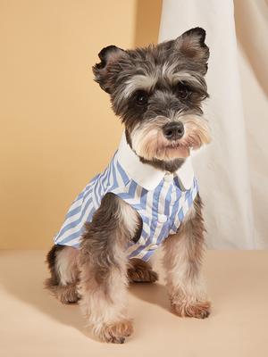 Hundekleidung für kleine Hunde Gestreiftes bedrucktes Kostüm Welpe mit Hündchen Haustierkleidung Weiche Bekleidung