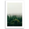 Canvas Print, Green Forest In the Fog