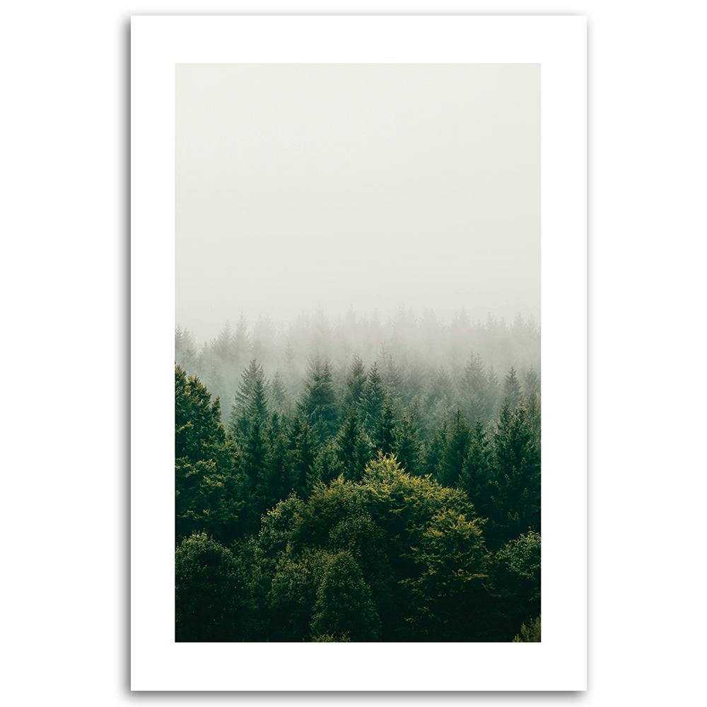 Canvas Print, Green Forest In the Fog