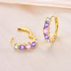 Hot Sales Original 925 Sterling Silver Purple Zircon Hoop Earrings For Women Elegant Jewelry Gift