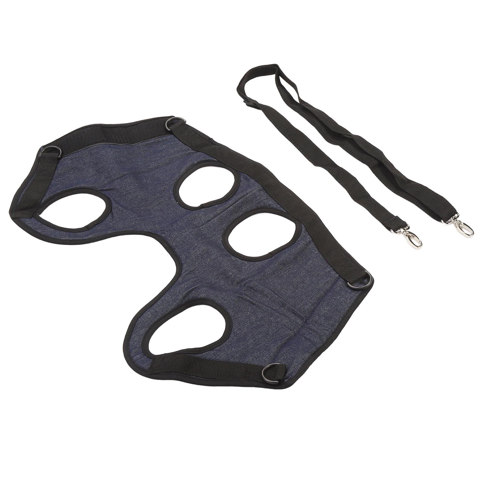 Porte-bébé Chien Professionnel Respirant Confortable Harnais de Levage pour Chiens Âgés Handicapés Blessures Articulaires Arthrite Paralysie Chiens Marche