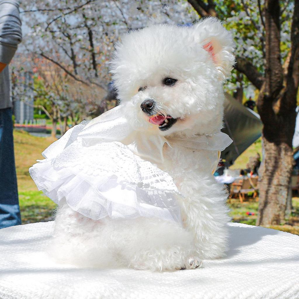 Pet Circle Snow White Pearl Princess Wedding Dress for Small & Medium Dogs
