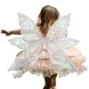 Performance Props Fairy Butterfly Wing Stage Catwalk Accessory Elf Cosplay Wing Cosplay Costumes