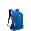 DELSEY PARIS Nomade Backpack, 28L, 49cm, 0.8kg, 2-Year Warranty, Official Import, d00333561102, Blue