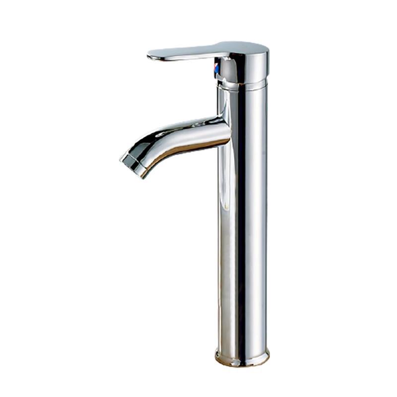 WDOFS Stainless Steel Single Cold Basin Faucet