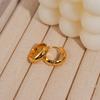Women’s High-End Metallic Gloss Hoop Earrings, Luxurious Niche Design, 2024 Trendy Ear Hoops