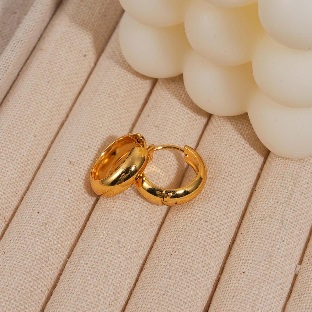 Women’s High-End Metallic Gloss Hoop Earrings, Luxurious Niche Design, 2024 Trendy Ear Hoops