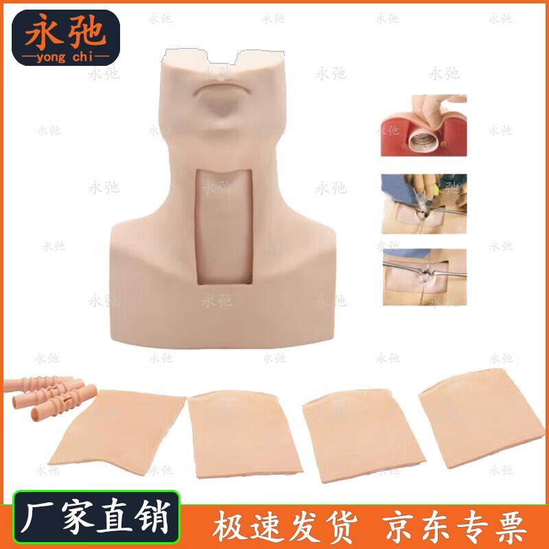 Yongchi Advanced Cricothyroid Puncture & Tracheostomy Training Model