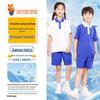 Shenzhen School Uniform Summer Sports Shorts (Advanced Edition)