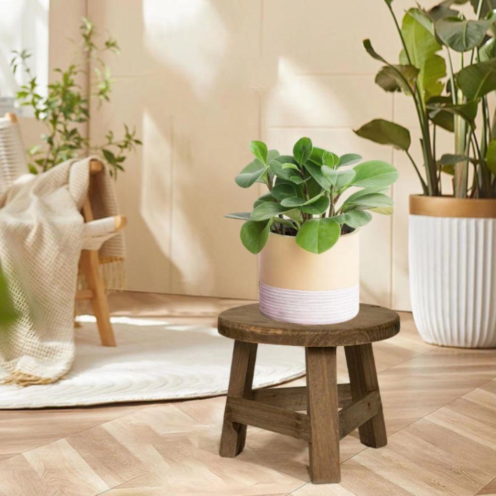Mini-Größe Mini-Holzhocker Runder Blumenständer Dekoratives Bonsai-Regal Wohnzimmer
