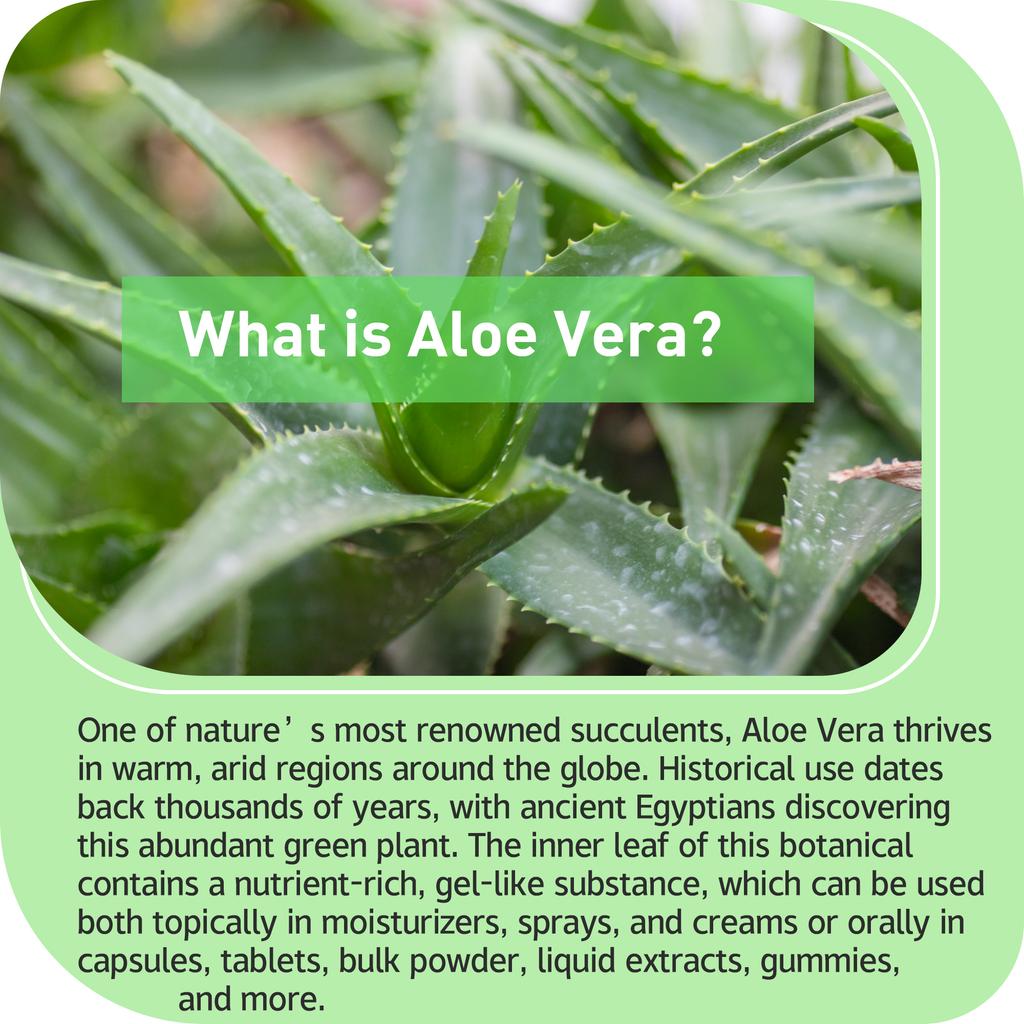 Capsule di aloe vera, integratore naturale, contenente 20.000 mg di estratto di aloe vera, adatte agli adulti.