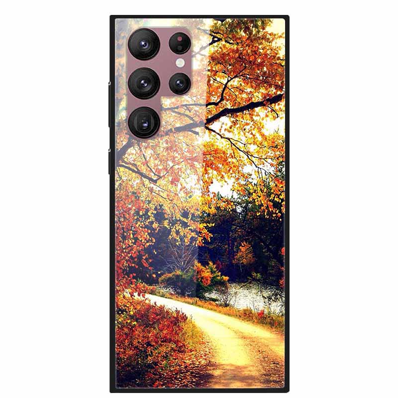 For Samsung Galaxy S22 Ultra 5G Phone Case Tempered Glass Back Cover Hard Case For Samsung  S22 Plus S 22 Capa Shell Funda Coque