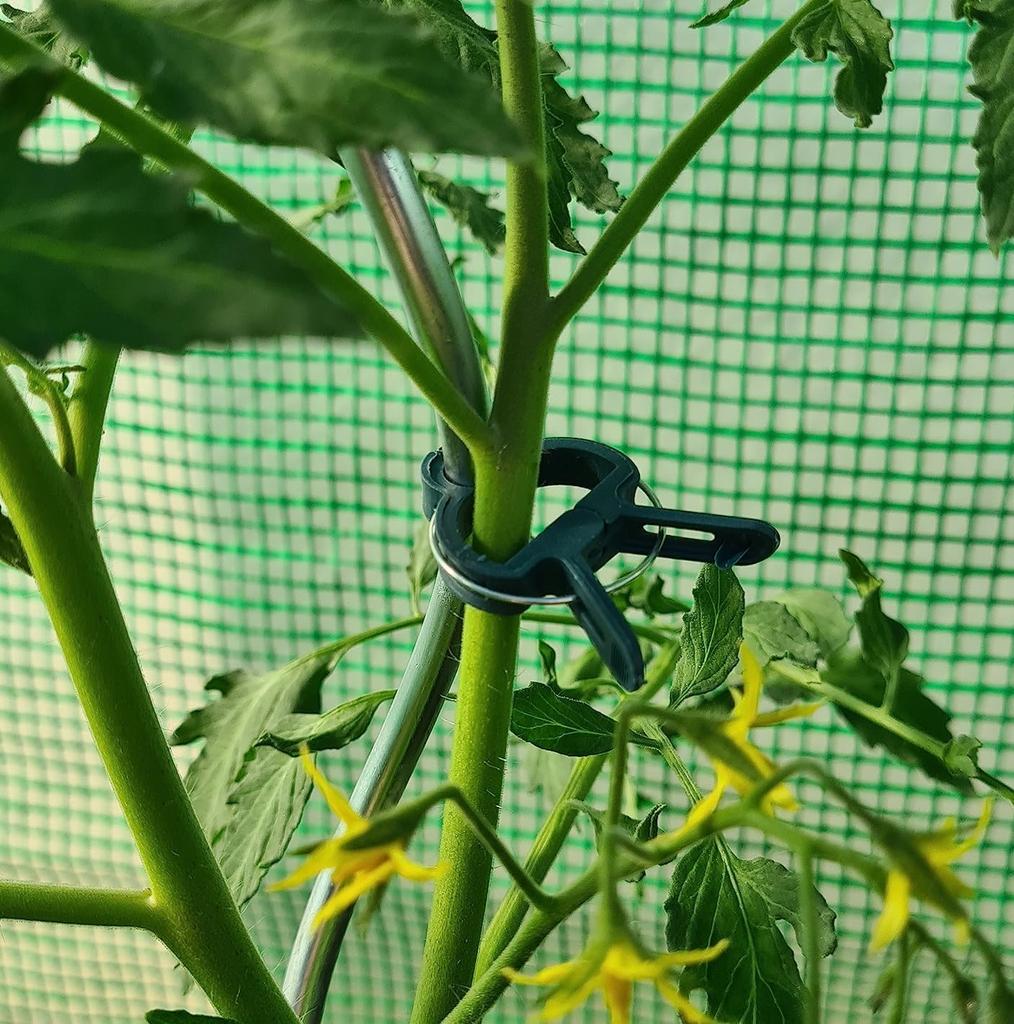 Robuste Gartenpflanzenclips Wiederverwendbar Schnellverschluss Grüner Kunststoff Stützen Außen Gewächshaus Gartenarbeit