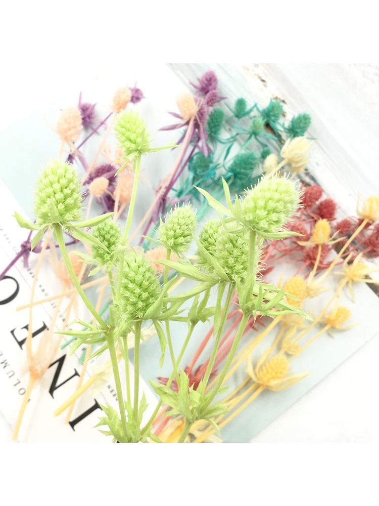 Preserved Eryngium Blue Planet Glass Dome DIY Wedding Flowers