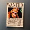 Kreativní magnet s plakátem Wanted z One Piece - Anime Kreslená Dekorace na ledničku & Samolepka na vzkazy