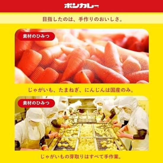 Bon Curry Otsuka Foods Gold Medium Spicy 180g5 pieces Microwave compatible
