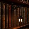 Whimsical Book Lover Gift Library Lantern, Decorative Bookshelf Lighting, Vintage Fantasy Nook Lamp, Magic Reading Portable Cordless Table Light
