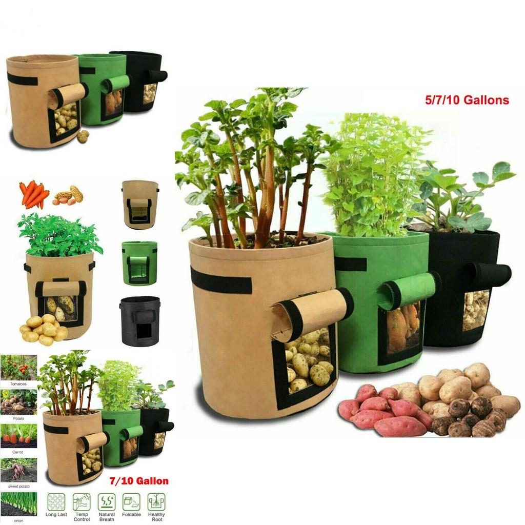 Durable And Reusable 5/7/10 Gallon Vegetable Grow Bags With Convenient Carry Handles