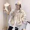 Winter Imitation Otter Lamb Plush Jacket for Women with Velvet and Thickening for Students, Korean Version, Loose and Versatile