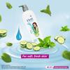 Vivel Body Wash, Mint & Cucumber Shower Creme, Cooling And Moisturising, For soft And smooth skin, High Foaming Formula, 500ml Pump