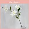 Artificial Brownii Lilium Var Viridulum For Wedding Decor And Props Photography